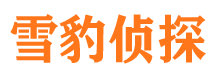 郸城侦探调查公司